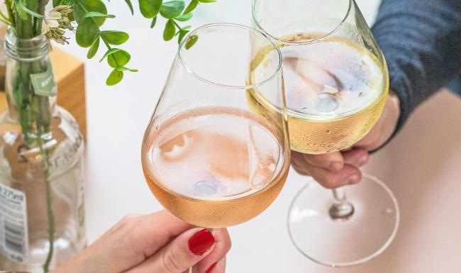 Two people holding glasses of wine