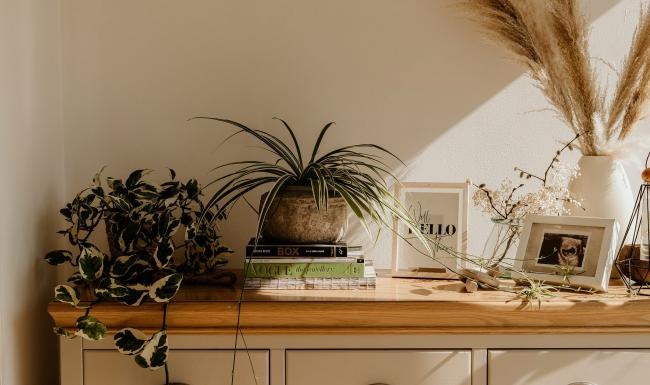 bureau top decorated with potted plants, books and framed pictures