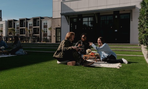 A group of people sitting on the grass having a picnic.