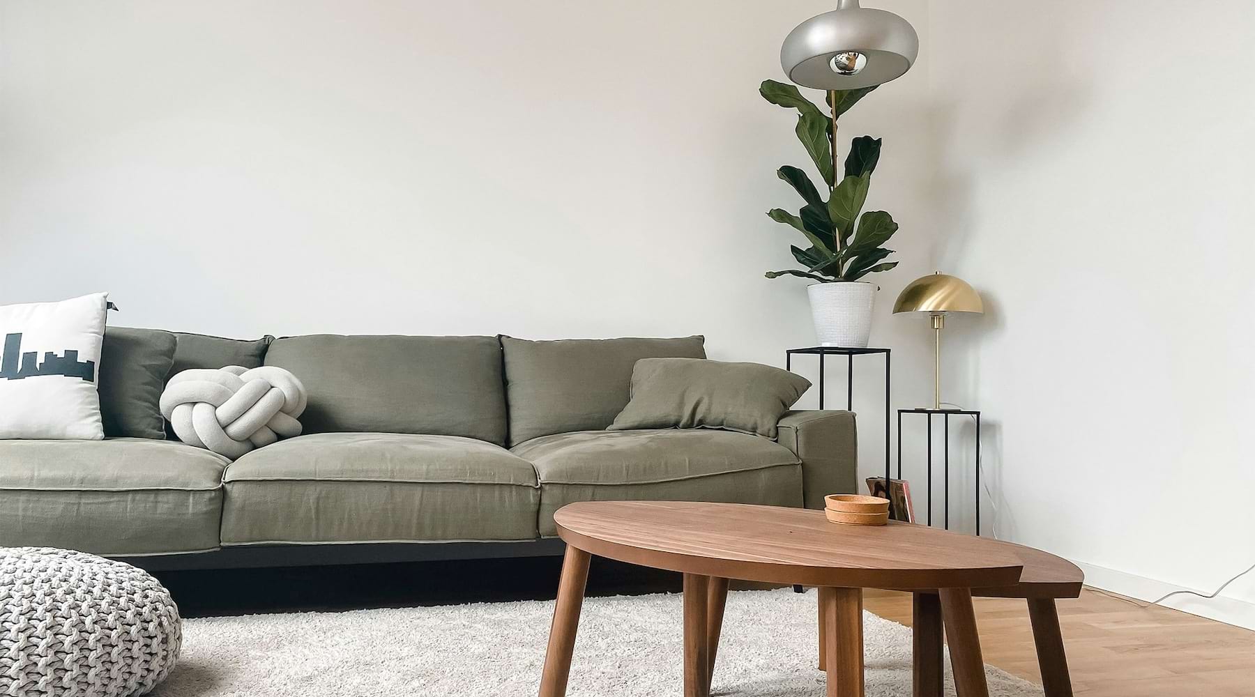 living room with furniture and a plant